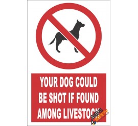 Your Dog Could Be Shot, If Found Among Livestock Sign